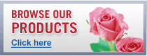 Browse Our Products