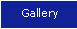 Park Model Homes Gallery