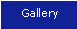 Park Model Homes Gallery